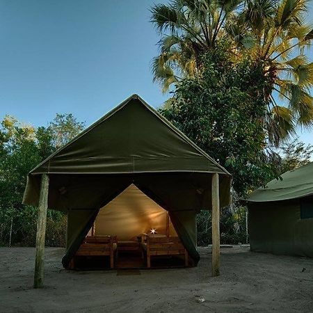 Hotel Motsebe Backpackers Maun Esterno foto