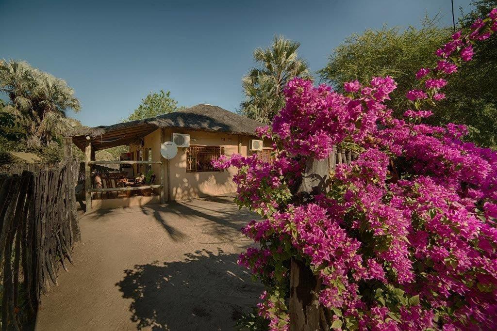 Hotel Motsebe Backpackers Maun Esterno foto