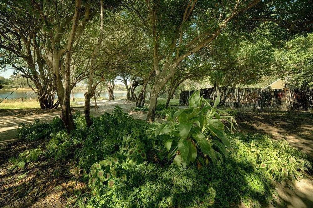 Hotel Motsebe Backpackers Maun Esterno foto
