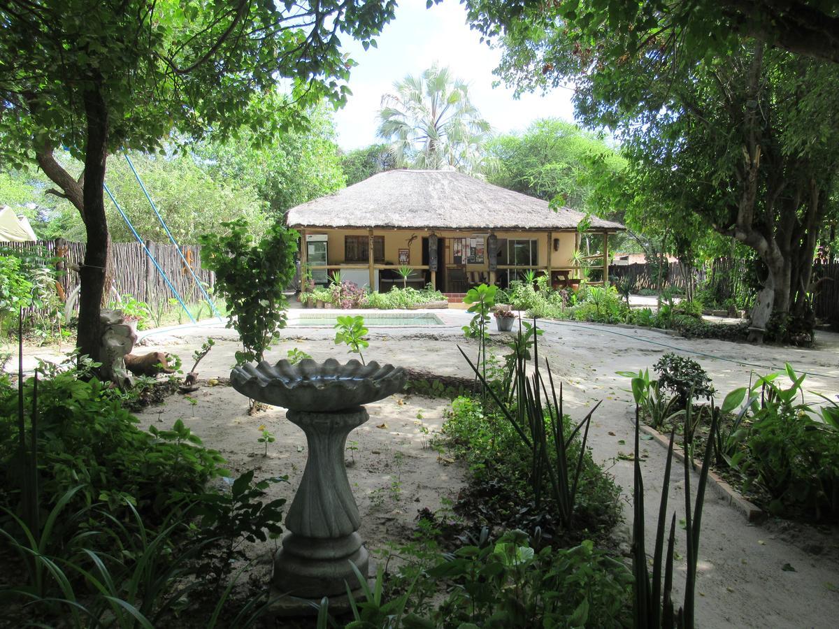 Hotel Motsebe Backpackers Maun Esterno foto