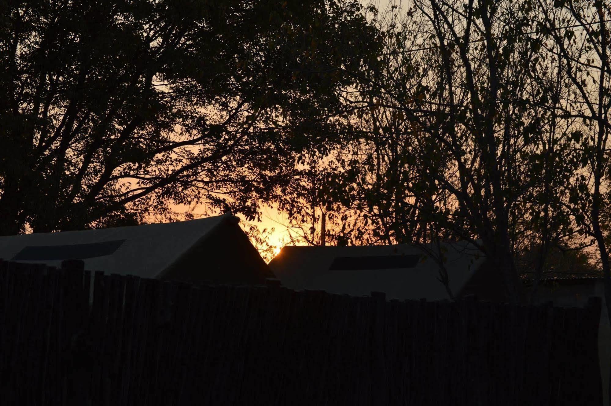 Hotel Motsebe Backpackers Maun Esterno foto
