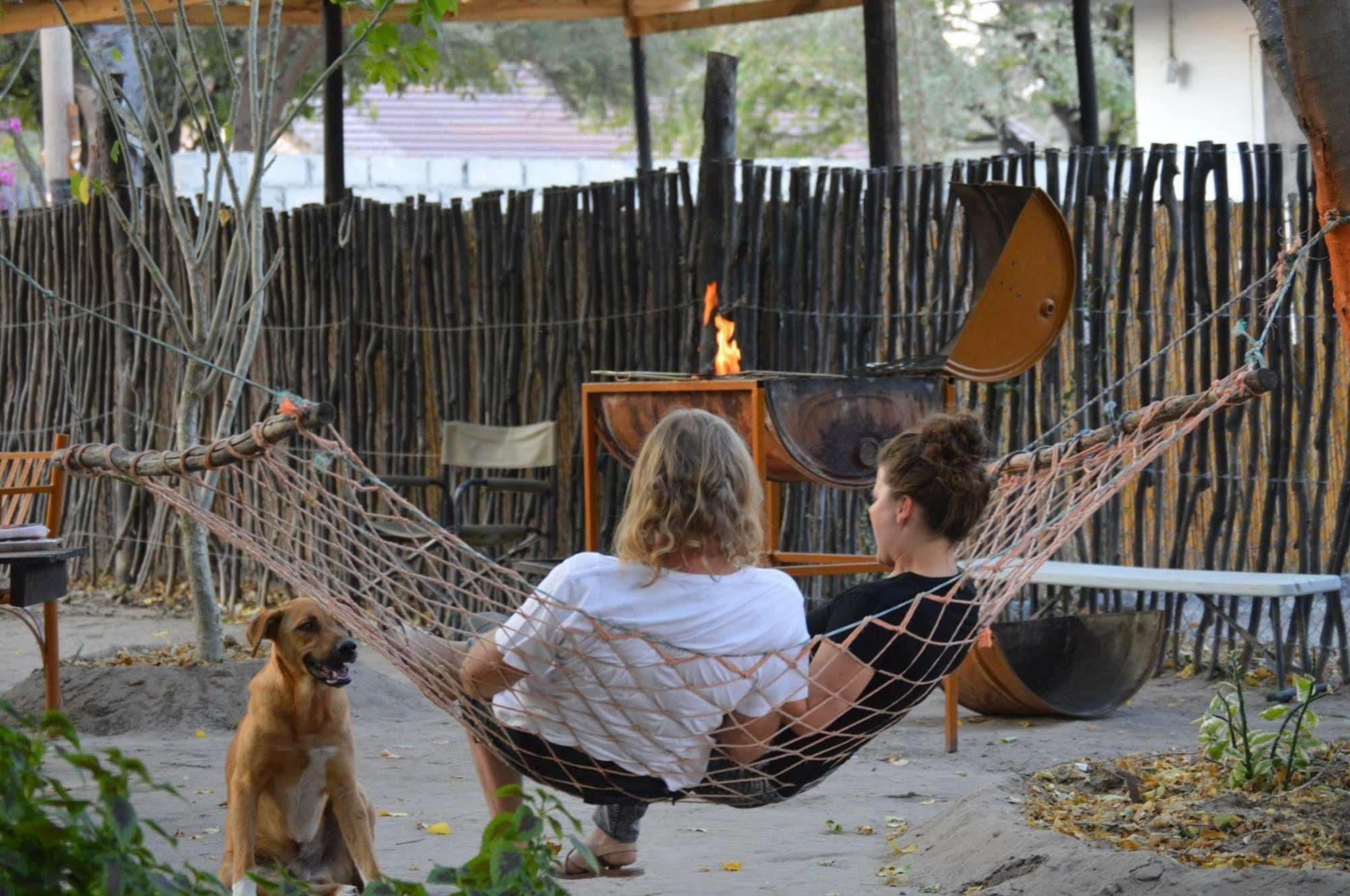 Hotel Motsebe Backpackers Maun Esterno foto