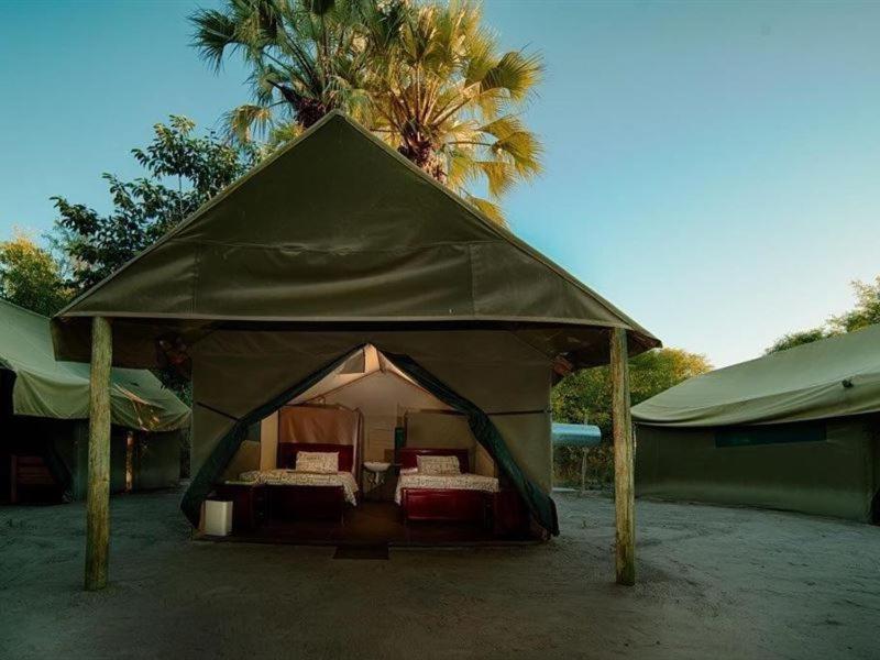 Hotel Motsebe Backpackers Maun Esterno foto