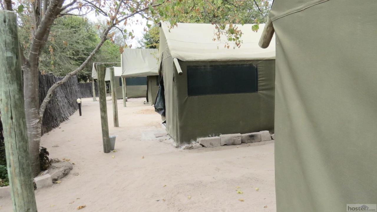 Hotel Motsebe Backpackers Maun Esterno foto
