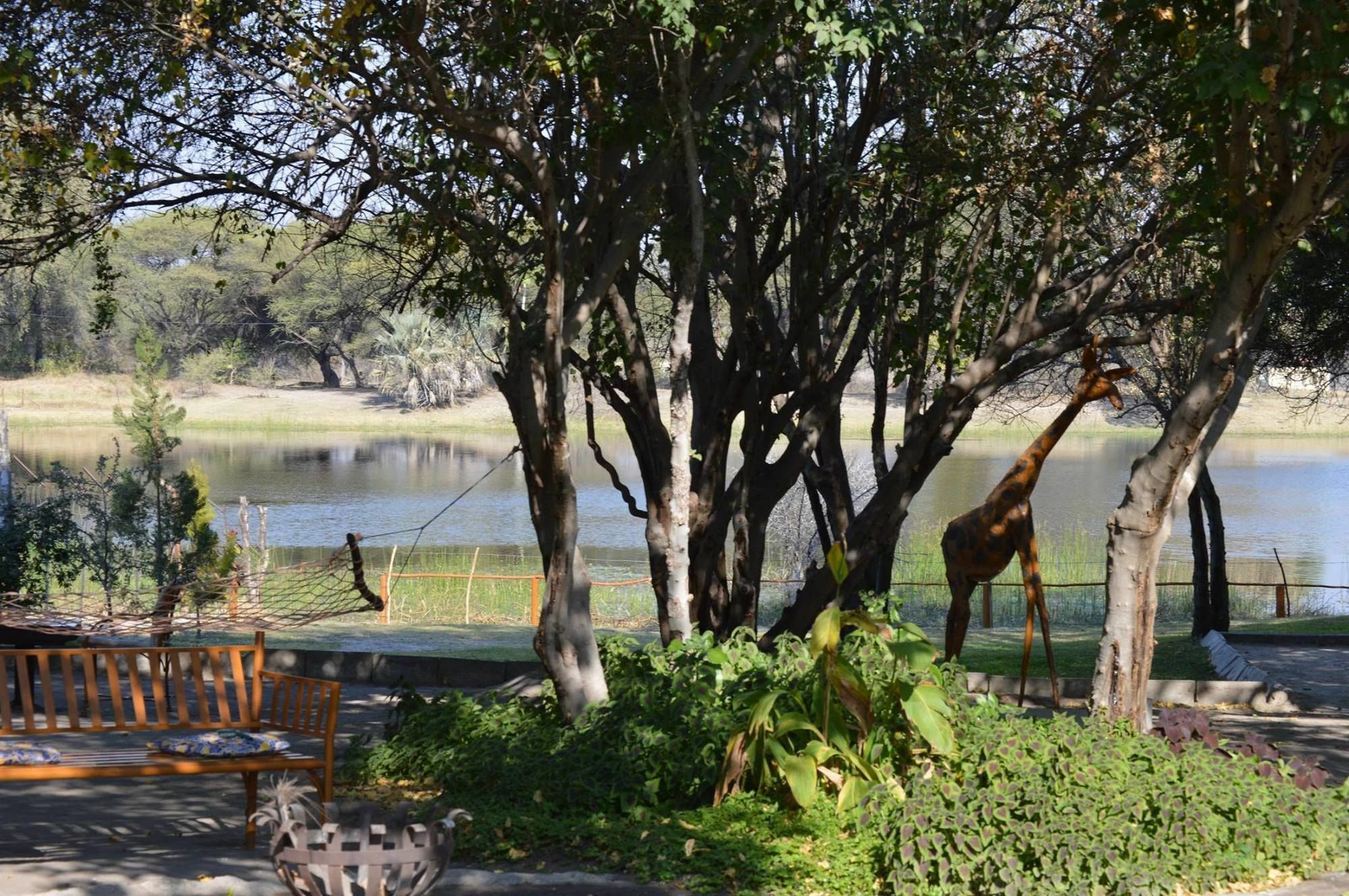 Hotel Motsebe Backpackers Maun Esterno foto